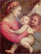 RAFFAELLO Sanzio Madonna della Tenda oil painting